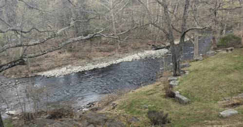A serene river flows through a wooded area, bordered by rocks and grass, under a cloudy sky.