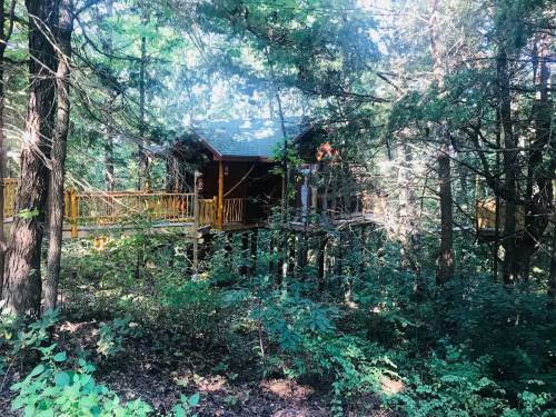 A treehouse nestled among tall trees, featuring a wooden deck and surrounded by lush greenery.