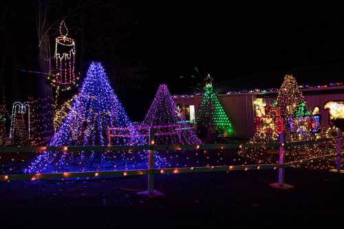 Colorful Christmas lights illuminate trees and decorations in a festive outdoor display at night.