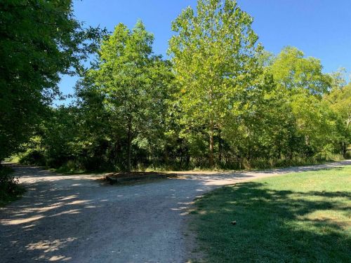 A sunny park scene showing a fork in a dirt path surrounded by lush green trees and clear blue skies.