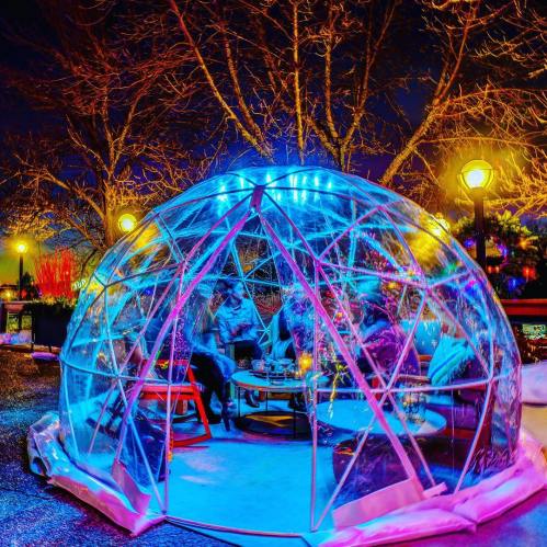 A colorful, illuminated igloo structure with people dining inside, surrounded by trees at night.