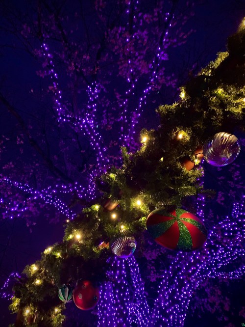 A tree adorned with purple lights and colorful ornaments, creating a festive nighttime atmosphere.