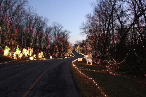 A winding road lined with colorful holiday lights and decorations, surrounded by bare trees at dusk.
