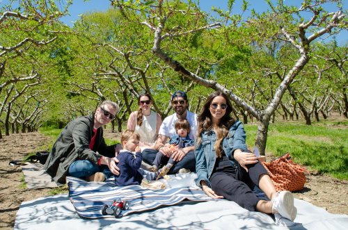 A group of five people enjoying a picnic on a blanket in an orchard, surrounded by green trees and blue skies.