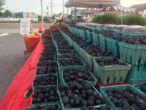 A vibrant farmers market display featuring baskets of fresh blueberries and strawberries on a red tablecloth.