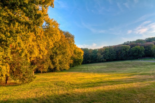 A serene landscape featuring vibrant autumn trees and a grassy field under a clear blue sky.