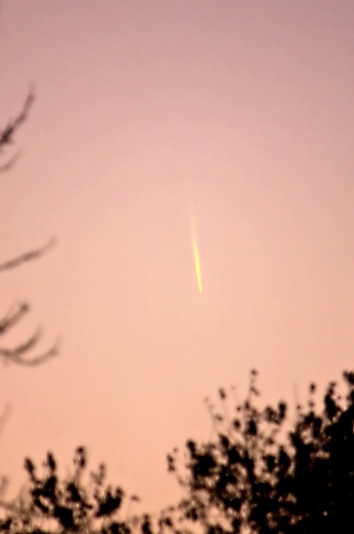 A comet streaks across a pastel sky, partially obscured by silhouetted tree branches.