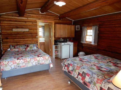 Cozy log cabin interior with two beds, a kitchenette, and wooden walls, featuring plaid-patterned bedspreads.