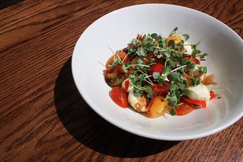A vibrant salad with cherry tomatoes, mozzarella, and microgreens in a white bowl on a wooden table.
