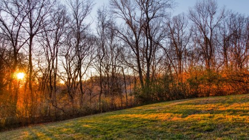 Sunset over a grassy field, with bare trees silhouetted against a warm, glowing sky.