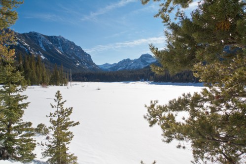 A snowy landscape with mountains in the background, framed by evergreen trees under a clear blue sky.