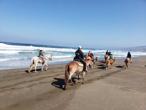 A group of people riding horses along a sandy beach with waves in the background under a clear blue sky.