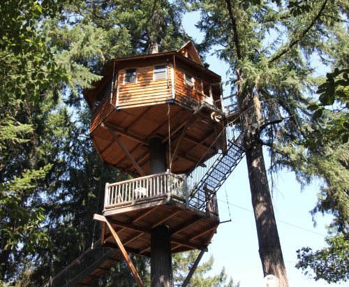 A wooden treehouse perched high in a forest, surrounded by tall trees and featuring a balcony and ladder.