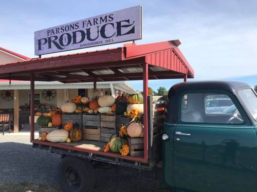 A vintage truck displays a variety of pumpkins and gourds at a produce stand under a sign for Parsons Farms.