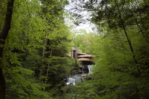 A modern house nestled among lush green trees, overlooking a serene waterfall in a tranquil forest setting.