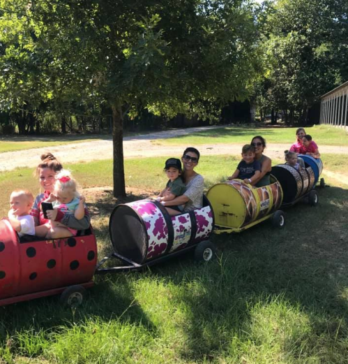 A colorful train made of barrels carries children and adults through a grassy area under trees on a sunny day.