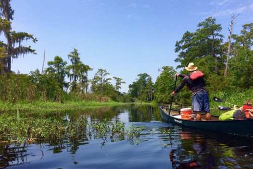 A person paddles a canoe through a serene, green waterway surrounded by lush trees and vegetation under a clear blue sky.
