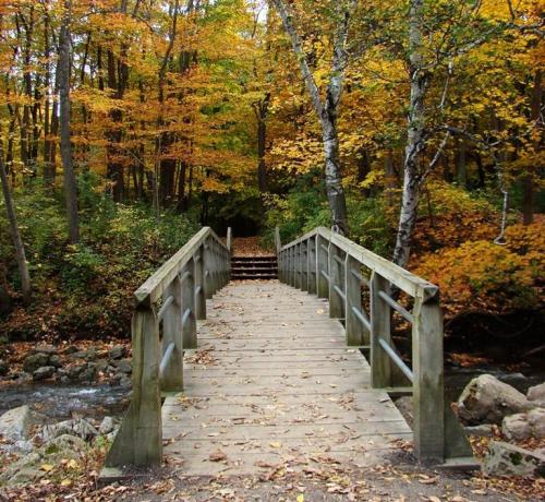 A wooden bridge spans a stream, surrounded by vibrant autumn foliage in a serene forest setting.