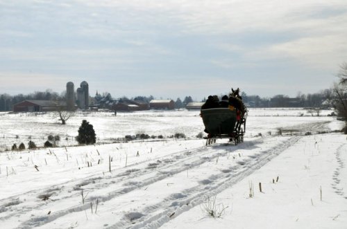 A horse-drawn sleigh travels through a snowy landscape, with barns and silos in the background under a cloudy sky.