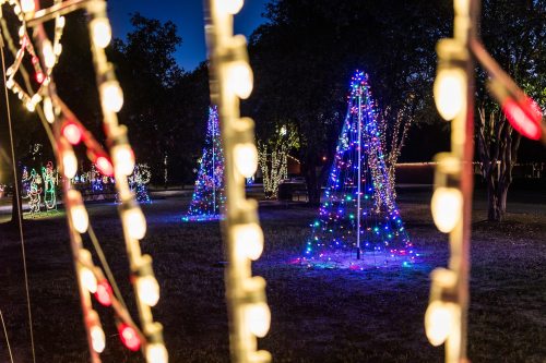 Colorful Christmas trees adorned with bright lights in a festive outdoor setting at night.