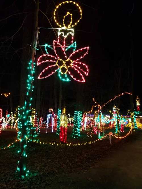 Colorful holiday lights illuminate a dark forest, featuring a large candle and flower design among festive decorations.