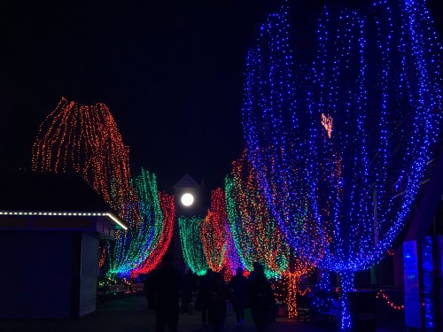 Colorful trees adorned with vibrant lights in a nighttime setting, with a glowing moon in the background.