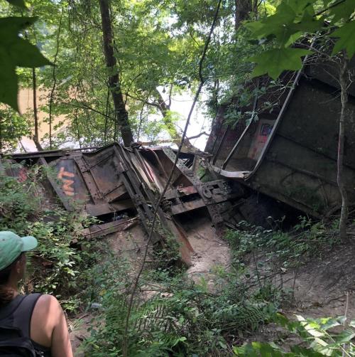 A person stands near a partially buried, rusted vehicle in a dense, green forest.