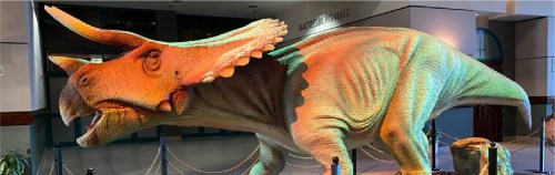 A large, colorful dinosaur sculpture resembling a Triceratops displayed indoors.
