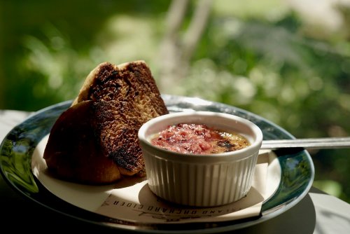 A plate with toasted bread and a ramekin of creamy dessert topped with fruit compote, set against a blurred green background.