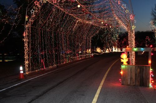 A festive, illuminated tunnel of colorful holiday lights along a dark road, creating a cheerful atmosphere.