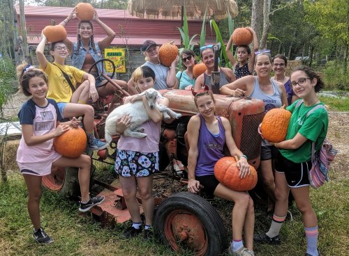 A group of people poses with pumpkins on an old tractor in a rural setting, some holding a goat.
