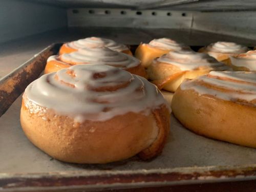 Freshly baked cinnamon rolls with icing, arranged on a baking tray in an oven.