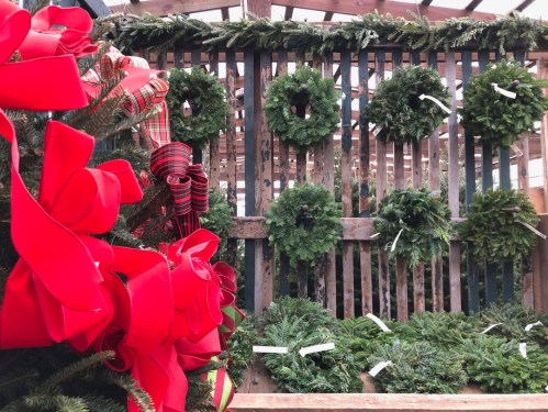 A display of green wreaths on a wooden wall, with red ribbons and bows in the foreground, evoking a festive atmosphere.