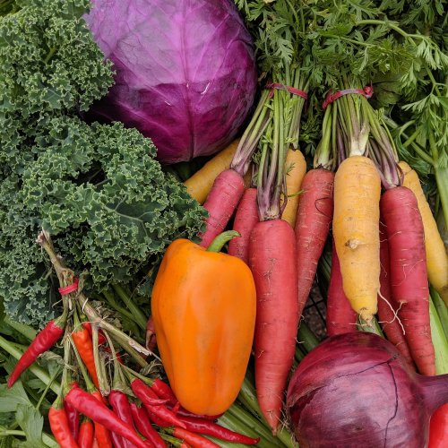 A colorful assortment of fresh vegetables, including purple cabbage, kale, carrots, bell pepper, and red chili peppers.