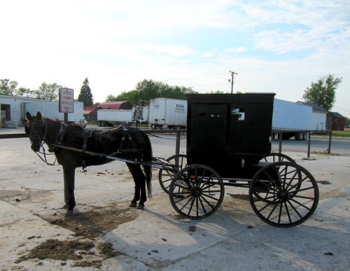 A horse-drawn carriage parked on a concrete surface, with a rural backdrop of buildings and trucks in the distance.