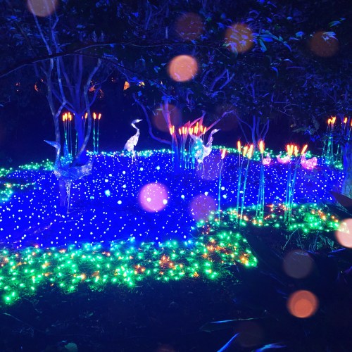 A vibrant display of blue and green lights illuminates a garden with decorative birds and glowing plants.