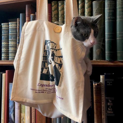 A gray cat peeks out from a tote bag hanging on a bookshelf filled with vintage books.