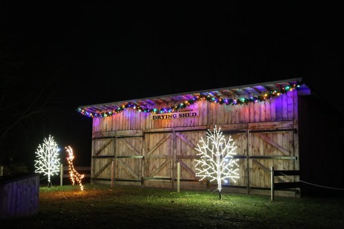 A wooden shed at night, adorned with colorful holiday lights and illuminated white trees on either side.