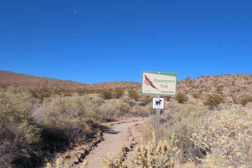 Sign for Davenport Trail in a desert landscape, with clear blue skies and sparse vegetation.