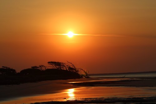 A serene sunset over a calm beach, with golden hues reflecting on the water and silhouetted trees in the foreground.