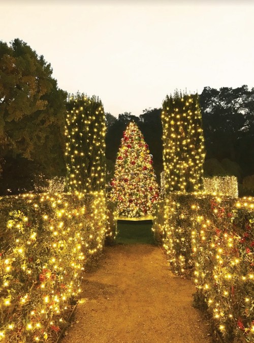 A beautifully lit pathway leads to a large, decorated Christmas tree surrounded by glowing lights and greenery.