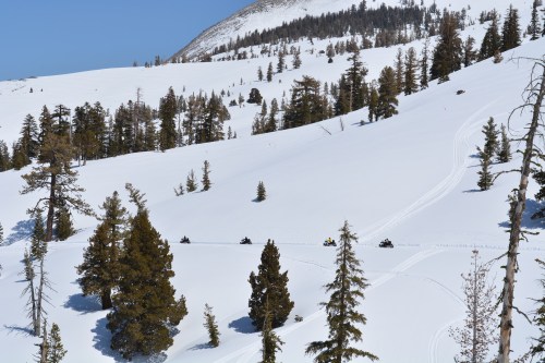Snow-covered landscape with snowmobiles traversing through trees on a sunny day.