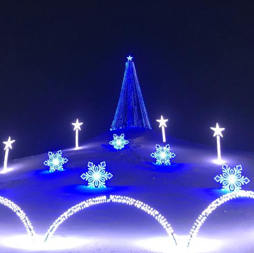 A snowy landscape illuminated by blue and white Christmas lights, featuring a tall tree and snowflake decorations.