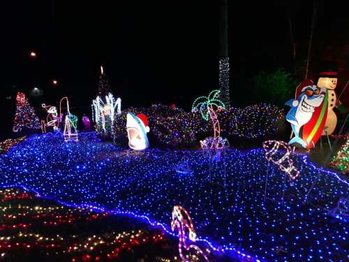 Colorful holiday lights illuminate a festive scene with palm trees, a shark, and snowmen against a dark night sky.