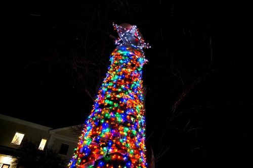 A brightly lit Christmas tree adorned with colorful lights against a dark night sky.