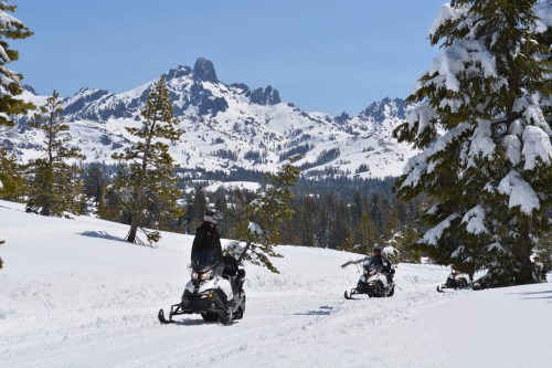Snowmobiles traverse a snowy landscape with mountains in the background and evergreen trees lining the path.