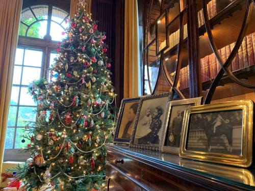 A decorated Christmas tree beside a wooden cabinet displaying framed black-and-white photos and books in a cozy room.