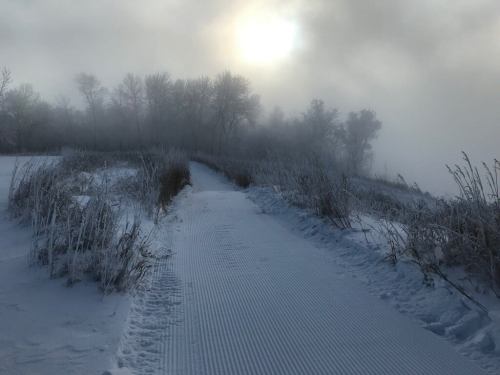 A snowy path leads through a foggy landscape, with trees silhouetted against a cloudy sky.
