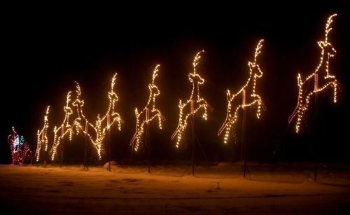 A row of illuminated reindeer decorations jumping against a dark night sky.