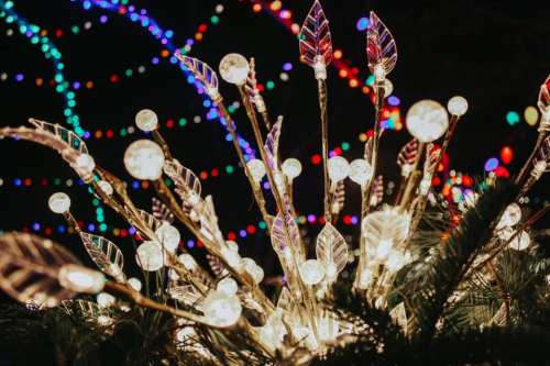 A close-up of illuminated decorative branches with leaves and glowing orbs, set against a backdrop of colorful lights.